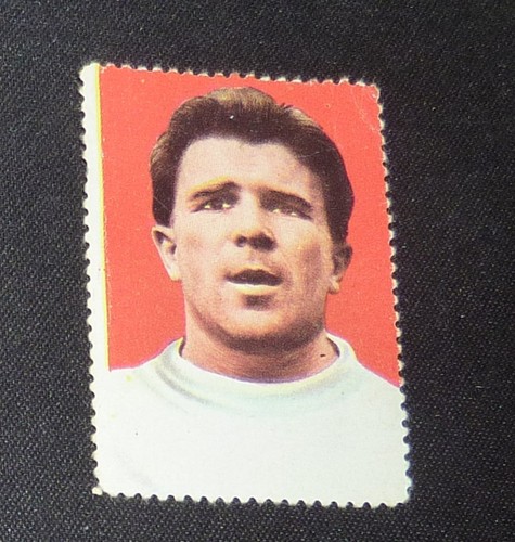 Sicker verlag die - verlag-die, fussball
