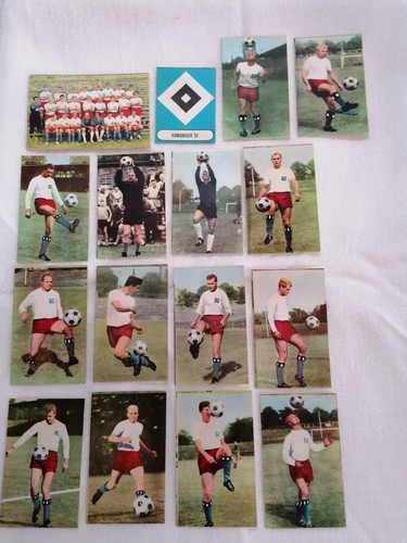 Sicker verlag die neue - die,