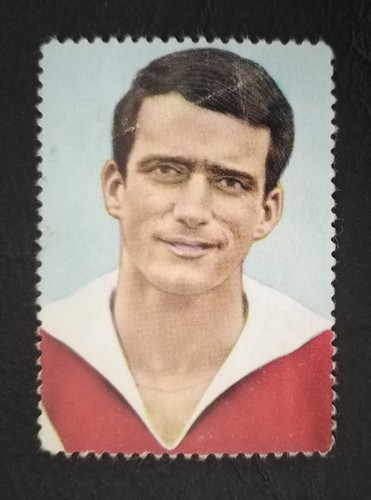 Sicker bild 195 wolfgang - 195,