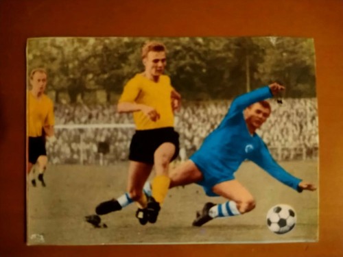 Stan libuda tausend tolle - stan,