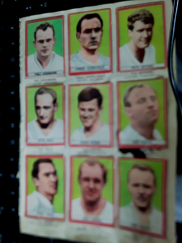 Sicker hamburger hsv - 15,