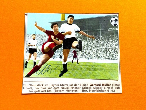 Sicker verlag tausend tolle - tausend,